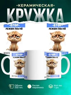 Кружка режим Егор