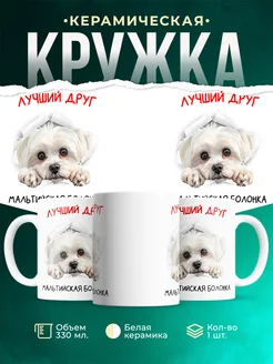 Кружка Мальтийская болонка