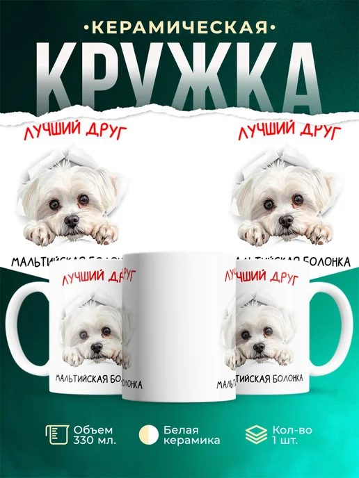 Кружка Мальтийская болонка