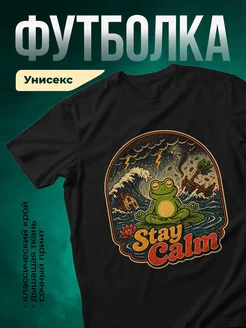 Купить футболку чёрную с доставкой по России | Принт лягушка медитация