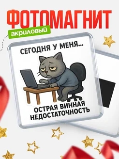 Купить магнит сувенирный 65мм с котом за ноутбуком с доставкой по России