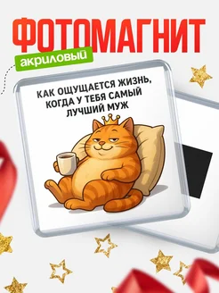 Купить магнит сувенирный 65мм с котом королем на диване с кофе в подарок с доставкой по России