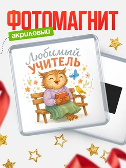 Купить магнит сувенирный 65мм с совой-учителем в подарок с доставкой