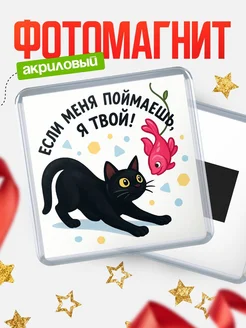 Купить магнит сувенирный 65мм с чёрным котом и рыбкой с доставкой по России