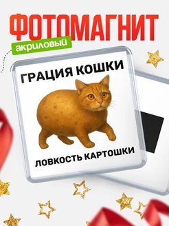 Купить магнит сувенирный 65мм с котом-картошкой с доставкой по России