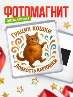 Купить магнит с котом прикольный 65 мм с доставкой по России