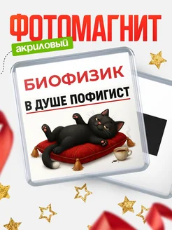 Купить магнит сувенирный 65мм с доставкой по России — чёрный кот-пофигист, именной подарок