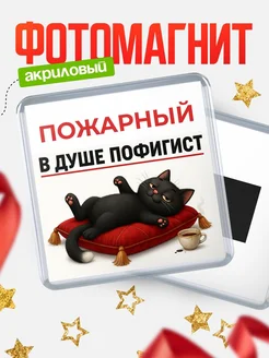 Купить магнит сувенирный 65мм с котом-пофигистом в подарок с доставкой