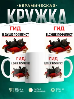Купить кружку с приколом «Гид пофигист кот» в подарок с доставкой