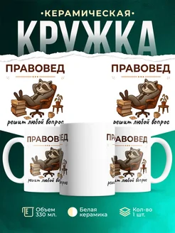 Купить кружку с енотом-правоведом в подарок коллеге с доставкой
