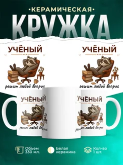 Купить кружку с принтом Учёный енот в подарок коллеге с доставкой по России