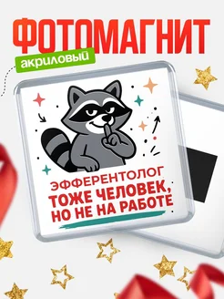 Купить магнит с енотом Эфферентолог с доставкой по России в подарок