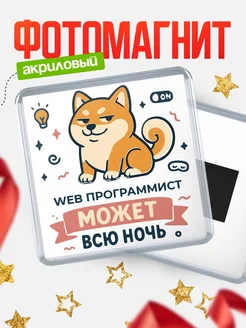 Купить магнит с шиба ину и лампочкой в подарок Web программист-специалисту с доставкой