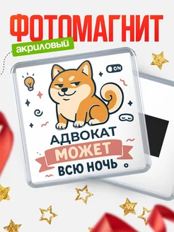 Купить магнит с шиба ину и лампочкой в подарок Адвокат-специалисту с доставкой