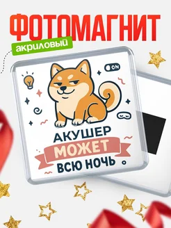 Купить магнит с шиба ину и лампочкой в подарок Акушер-специалисту с доставкой