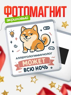 Купить магнит с шиба ину и лампочкой в подарок Аллергологиммунолог-специалисту с доставкой
