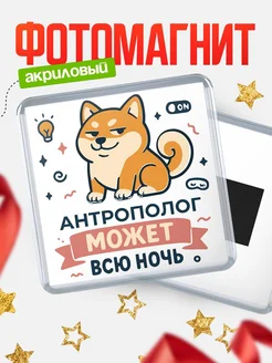 Купить магнит с шиба ину и лампочкой в подарок Антрополог-специалисту с доставкой