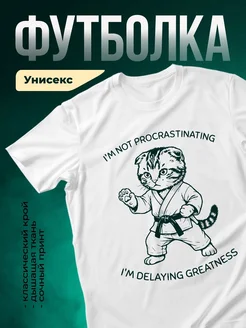 Купить футболку с котом-каратистом с доставкой по России