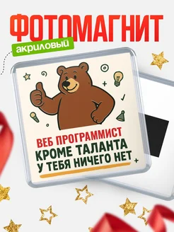 Купить магнит Веб программист кроме таланта в подарок с доставкой по России