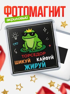 Купить магнит с лягушкой с доставкой по России в подарок