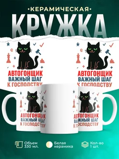 Купить кружку с принтом Автогонщик кот шахматы успех в подарок с доставкой по России