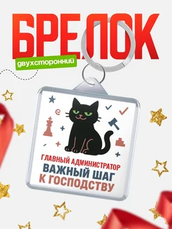 Купить брелок кот удачи Главный администратор менеджер с доставкой по России