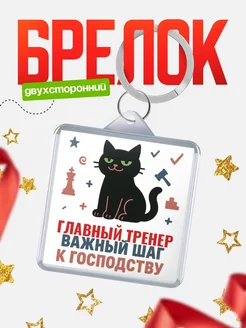 Купить брелок кот удачи Главный тренер менеджер с доставкой по России