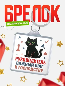 Купить брелок кот удачи Руководитель менеджер с доставкой по России