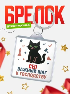 Купить брелок кот удачи Сео менеджер с доставкой по России