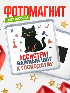Купить магнит сувенирный 65мм с чёрным котом Ассистент с доставкой по России