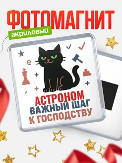 Купить магнит сувенирный 65мм с чёрным котом Астроном с доставкой по России