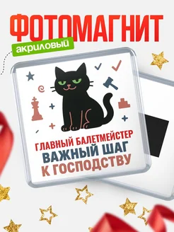 Купить магнит сувенирный 65мм с чёрным котом Главный балетмейстер с доставкой по России