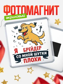 Купить магнит сувенирный 65мм с озорным псом Брейдер с доставкой по России