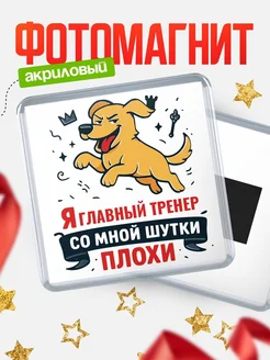 Купить магнит сувенирный 65мм с озорным псом Главный тренер с доставкой по России