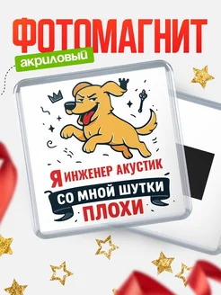 Купить магнит сувенирный 65мм с озорным псом Инженер акустик с доставкой по России