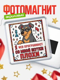 Купить магнит Web программист со мной шутки плохи с доставкой по России
