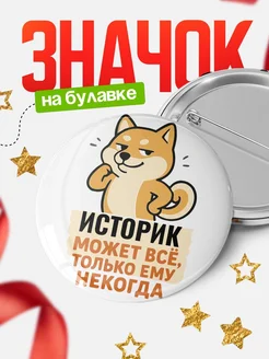 Купить значок Историк мем с доставкой по России — оригинальный подарок кадровику