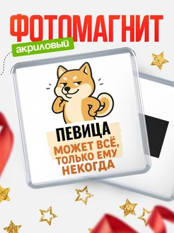 Купить магнит сувенирный 65мм с шиба ину и Певица-юмором с доставкой по России