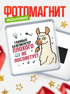 Купить магнит сувенирный 65мм «Главный балетмейстер плохого не посоветует» с доставкой по России
