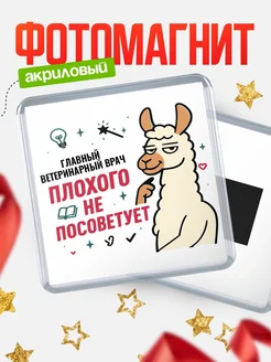Купить магнит сувенирный 65мм «Главный ветеринарный врач плохого не посоветует» с доставкой по России