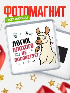 Купить магнит сувенирный 65мм «Логик плохого не посоветует» с доставкой по России