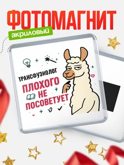 Купить магнит сувенирный 65мм «Трансфузиолог плохого не посоветует» с доставкой по России