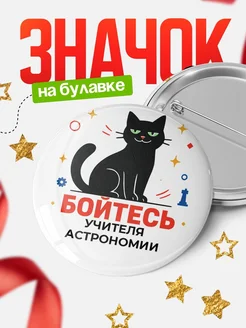 Купить значок с котом Учителя астрономии с доставкой по России — оригинальный подарок