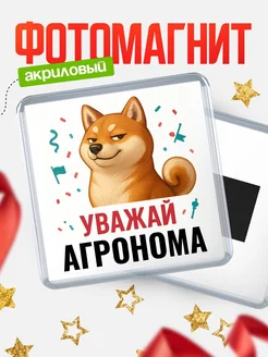 Купить магнит сувенирный 65мм с шиба ину Агронома в подарок с доставкой