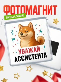 Купить магнит сувенирный 65мм с шиба ину Ассистента в подарок с доставкой