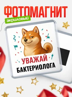 Купить магнит сувенирный 65мм с шиба ину Бактериолога в подарок с доставкой