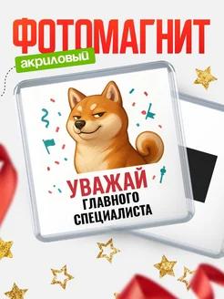 Купить магнит сувенирный 65мм с шиба ину Главного специалиста в подарок с доставкой
