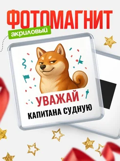 Купить магнит сувенирный 65мм с шиба ину Капитана судную в подарок с доставкой