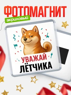 Купить магнит сувенирный 65мм с шиба ину Лётчика в подарок с доставкой