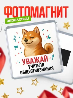 Купить магнит сувенирный 65мм с шиба ину Учителя обществознания в подарок с доставкой